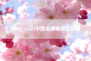徐州中国金牌是哪些项目