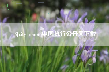 徐州中国执行公开网下载