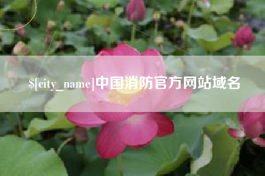 徐州中国消防官方网站域名