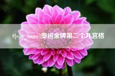 徐州奥运金牌第二个九宫格