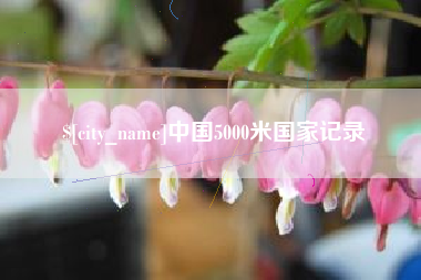 徐州中国5000米国家记录