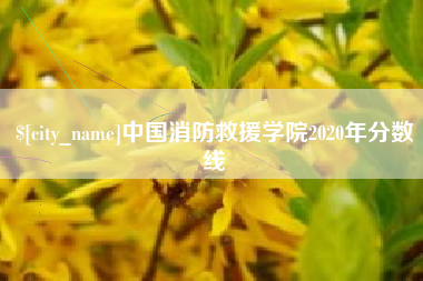 徐州中国消防救援学院2020年分数线