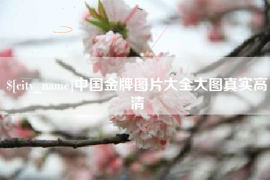 徐州中国金牌图片大全大图真实高清