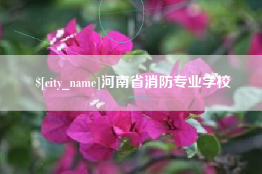 徐州河南省消防专业学校