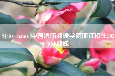 徐州中国消防救援学院浙江招生2020分数线