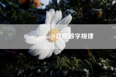 徐州9宫格数字规律
