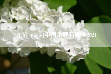 徐州中国金牌有哪些2021