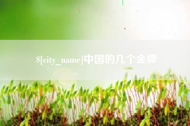 徐州中国的几个金牌