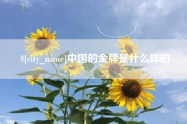 徐州中国的金牌是什么样的