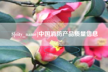 徐州中国消防产品质量信息