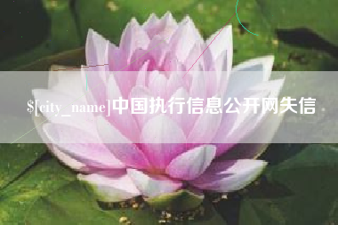 徐州中国执行信息公开网失信