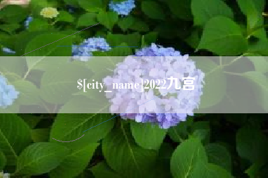 徐州2022九宫