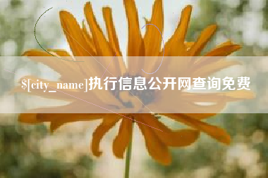 徐州执行信息公开网查询免费