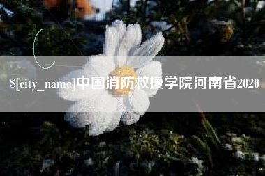 徐州中国消防救援学院河南省2020